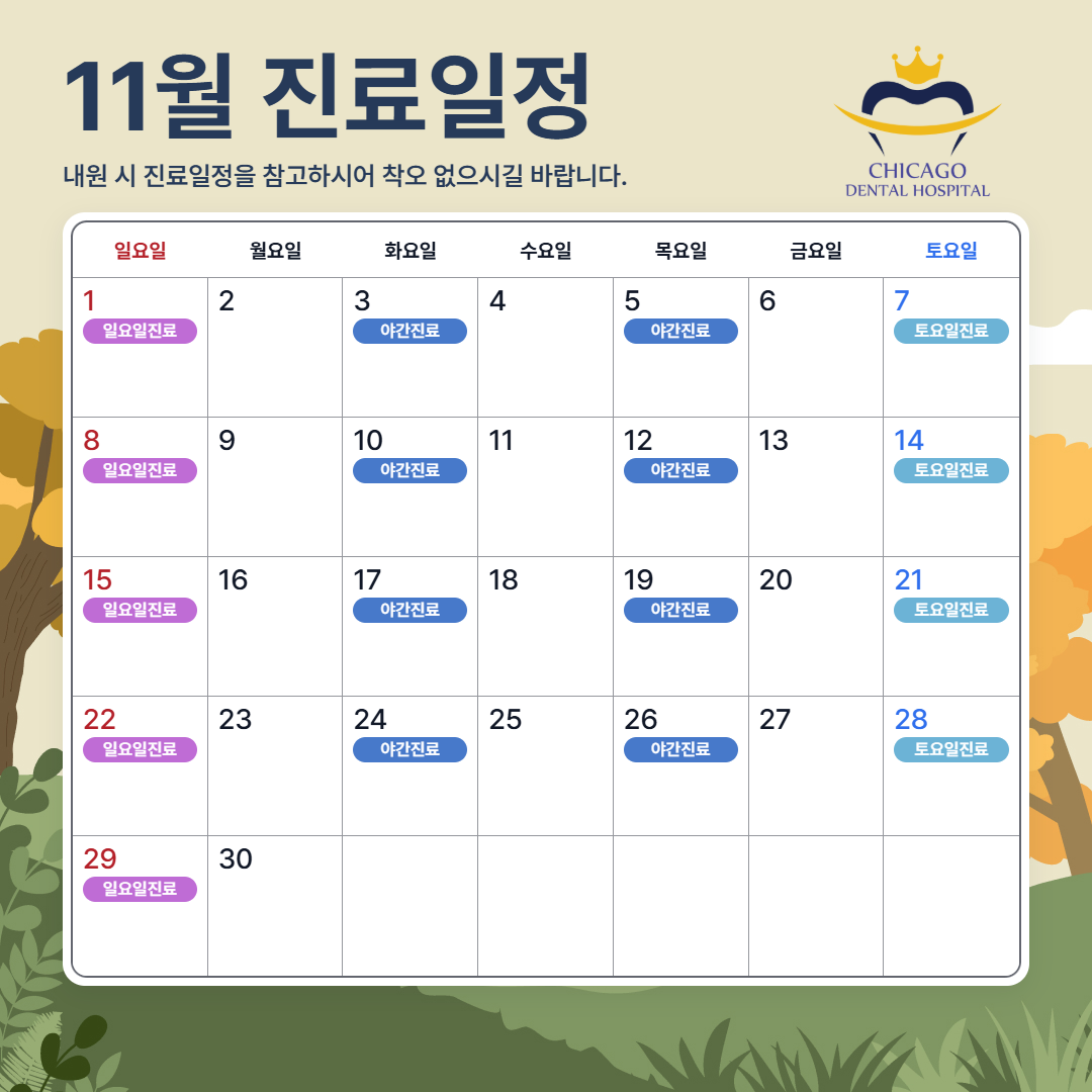 시카고치과병원_2026년_11월_진료일정_1080x1080.png